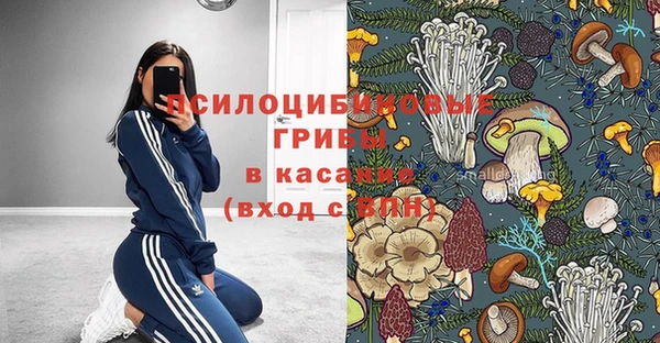 прущие грибы Балахна
