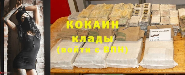 прущие грибы Балахна